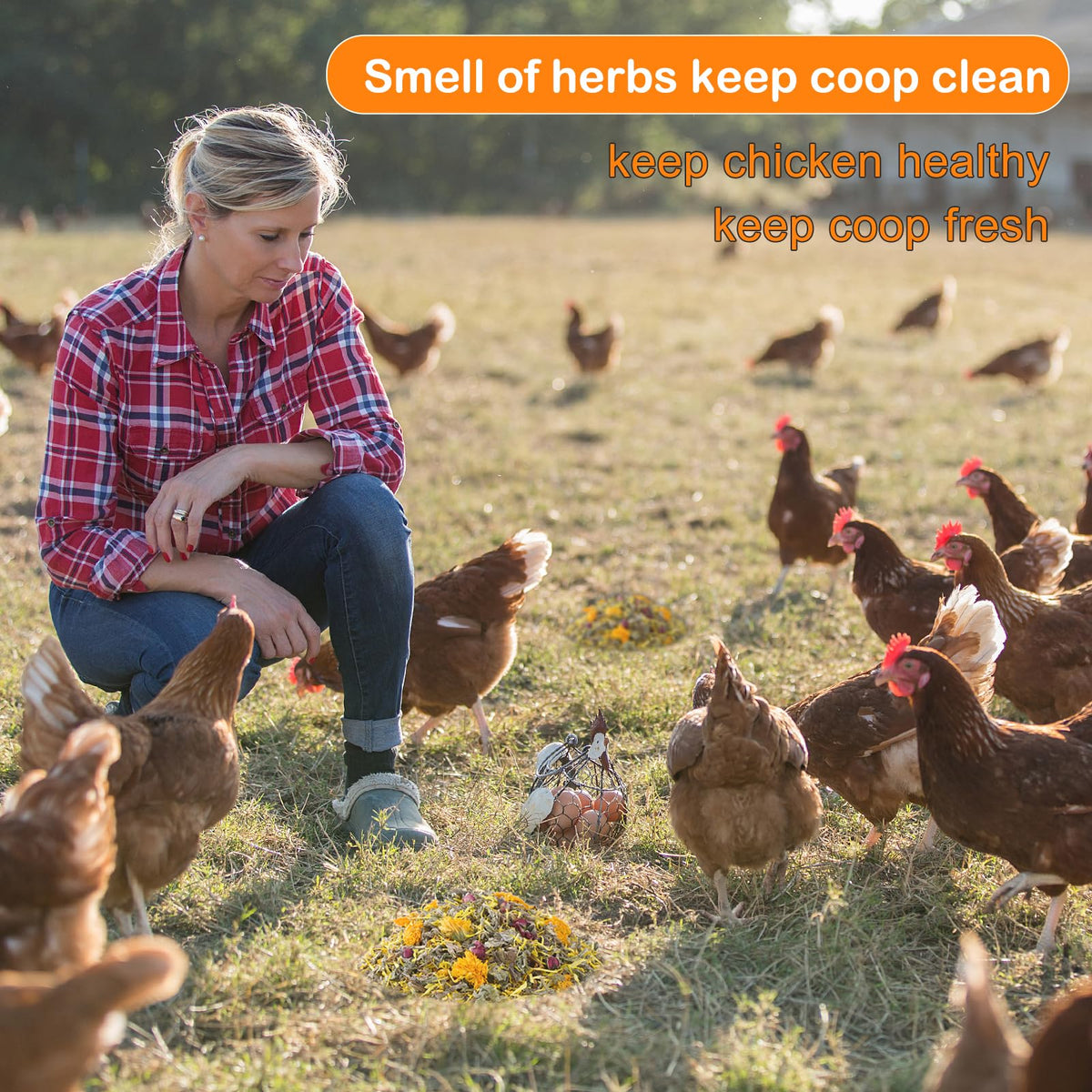HoazHoald natural flowers and herbs add edible forage for chickens