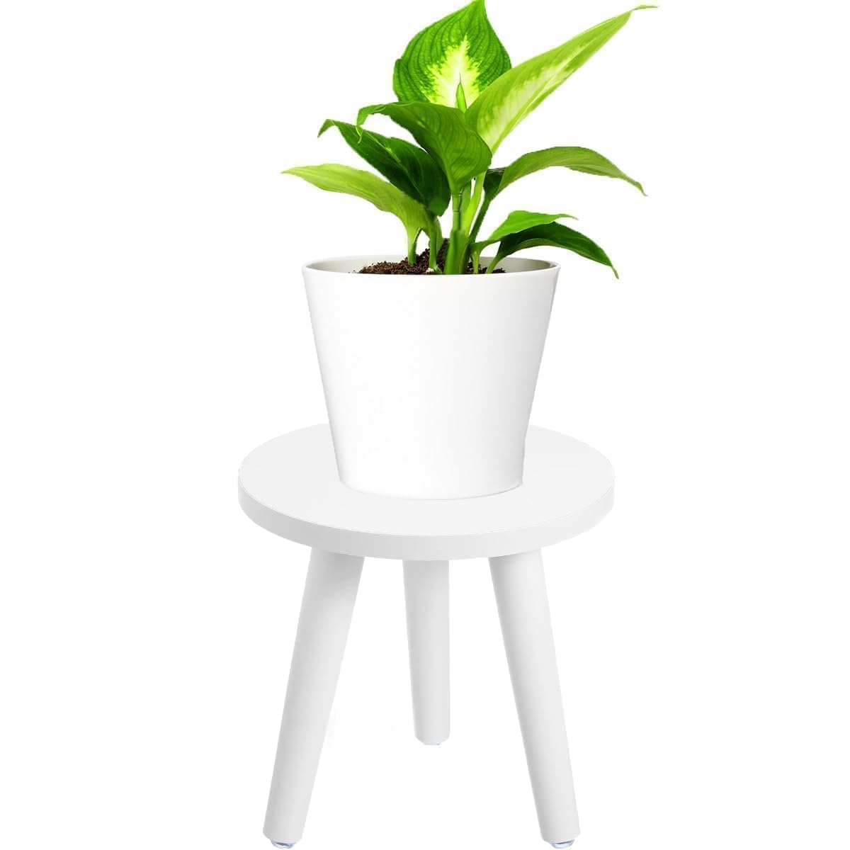 Hoceium wooden plant rack suitable for book display or decor on shelves.