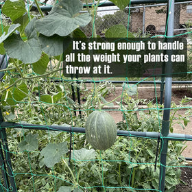UV-stabilized, durable trellis netting for long-term garden use.