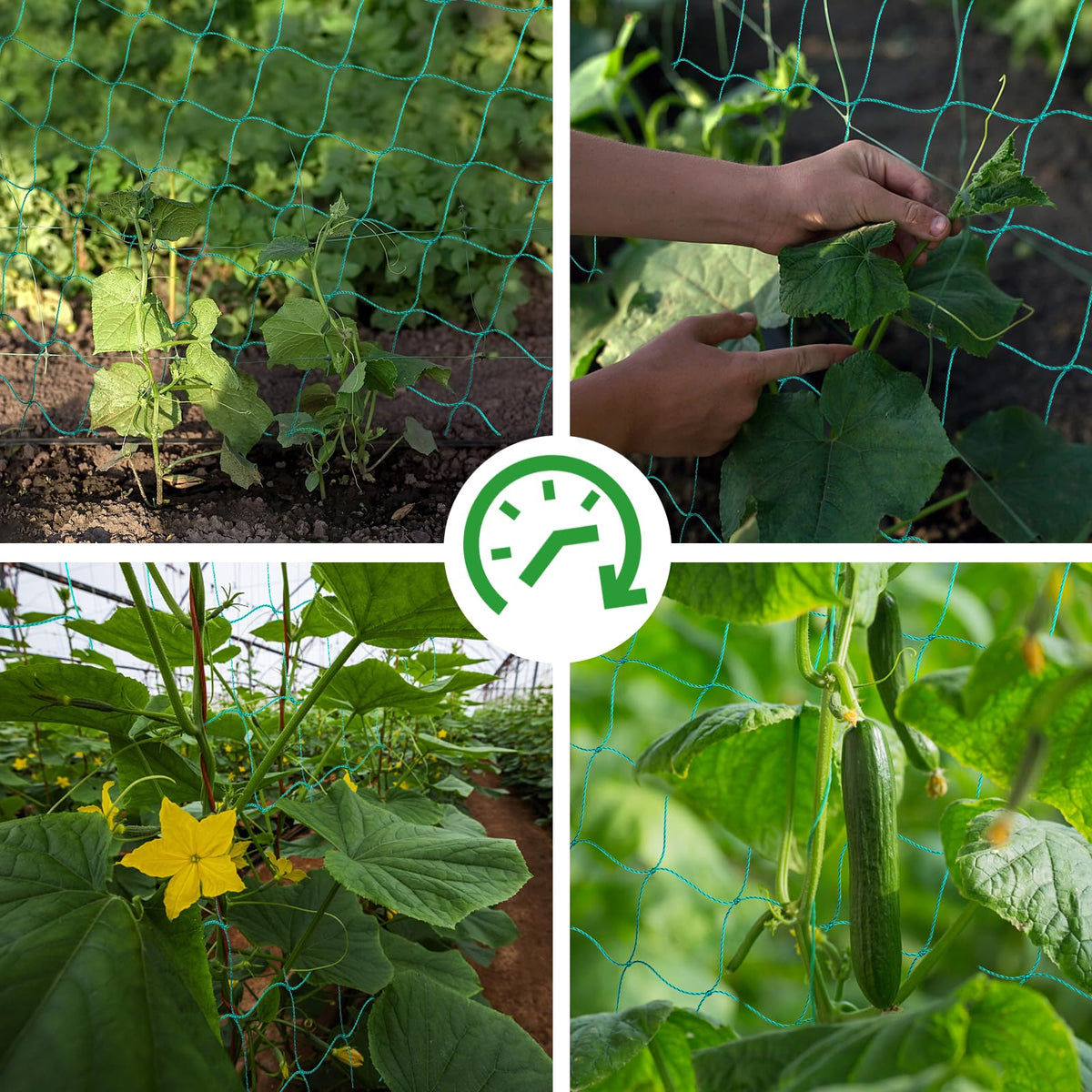 4-inch mesh square openings let you reach through to tend and harvest.