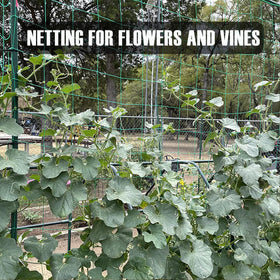 Bean and vine support using HOECMRHP trellis netting.