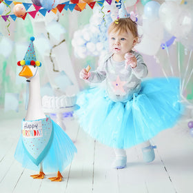 Hoemwarm birthday goose outfit packaging blue shows contents
