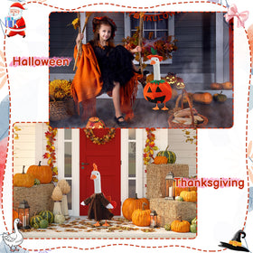 Hoemwarm Birthday goose costume adds cheerful garden vibe