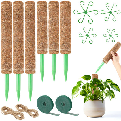 Hoemwarm moss pole stackable setup supports Monstera growth.