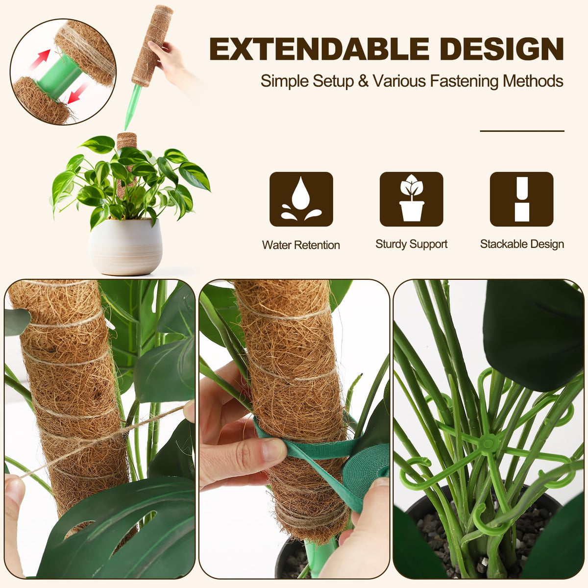 Hoemwarm moss pole fits Monstera, pothos, and other indoor climbers.