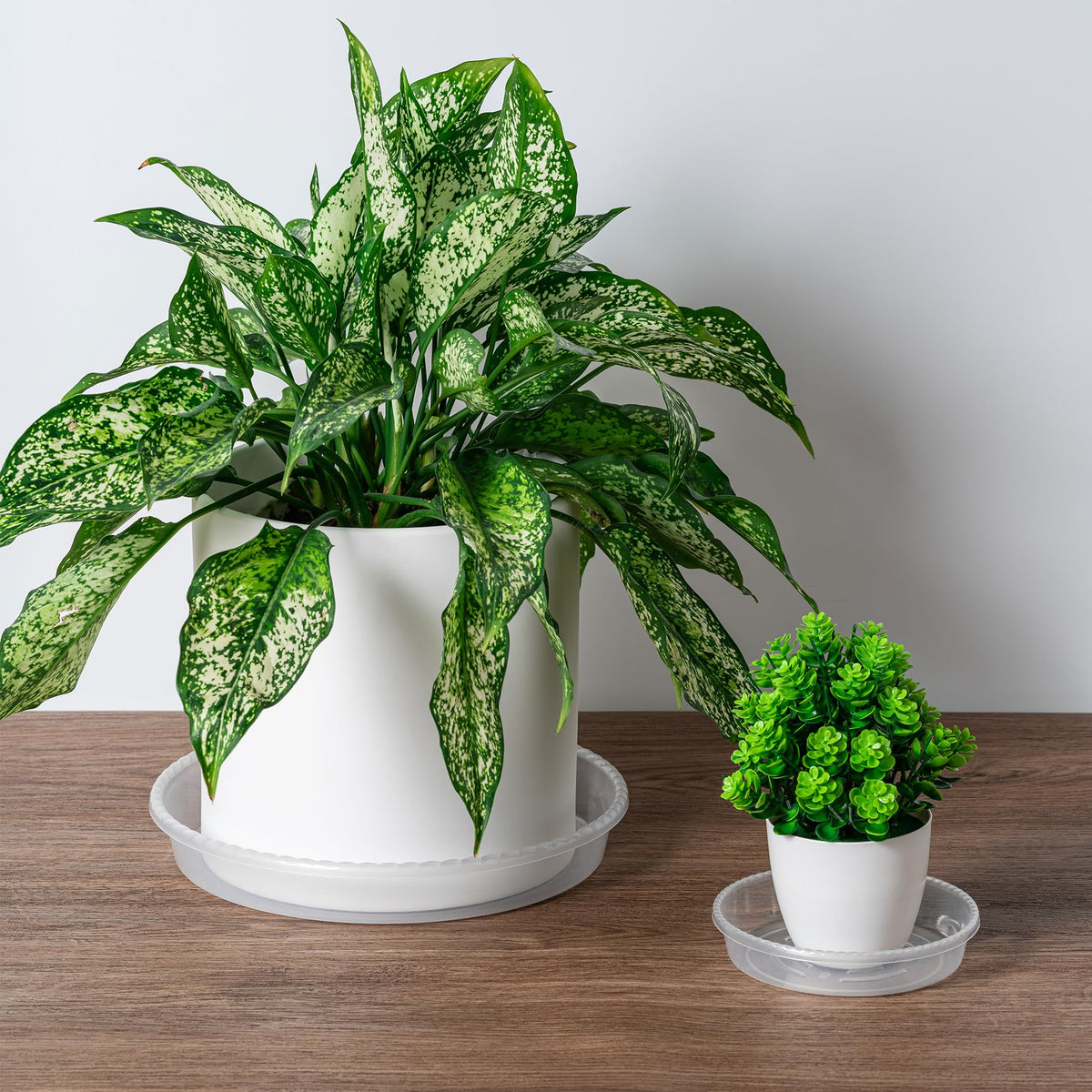 Hoewina clear odorless plant saucer for indoor use