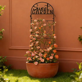 hogardeck trellis heavy-duty rustproof construction supports vegetables and flowers outdoors
