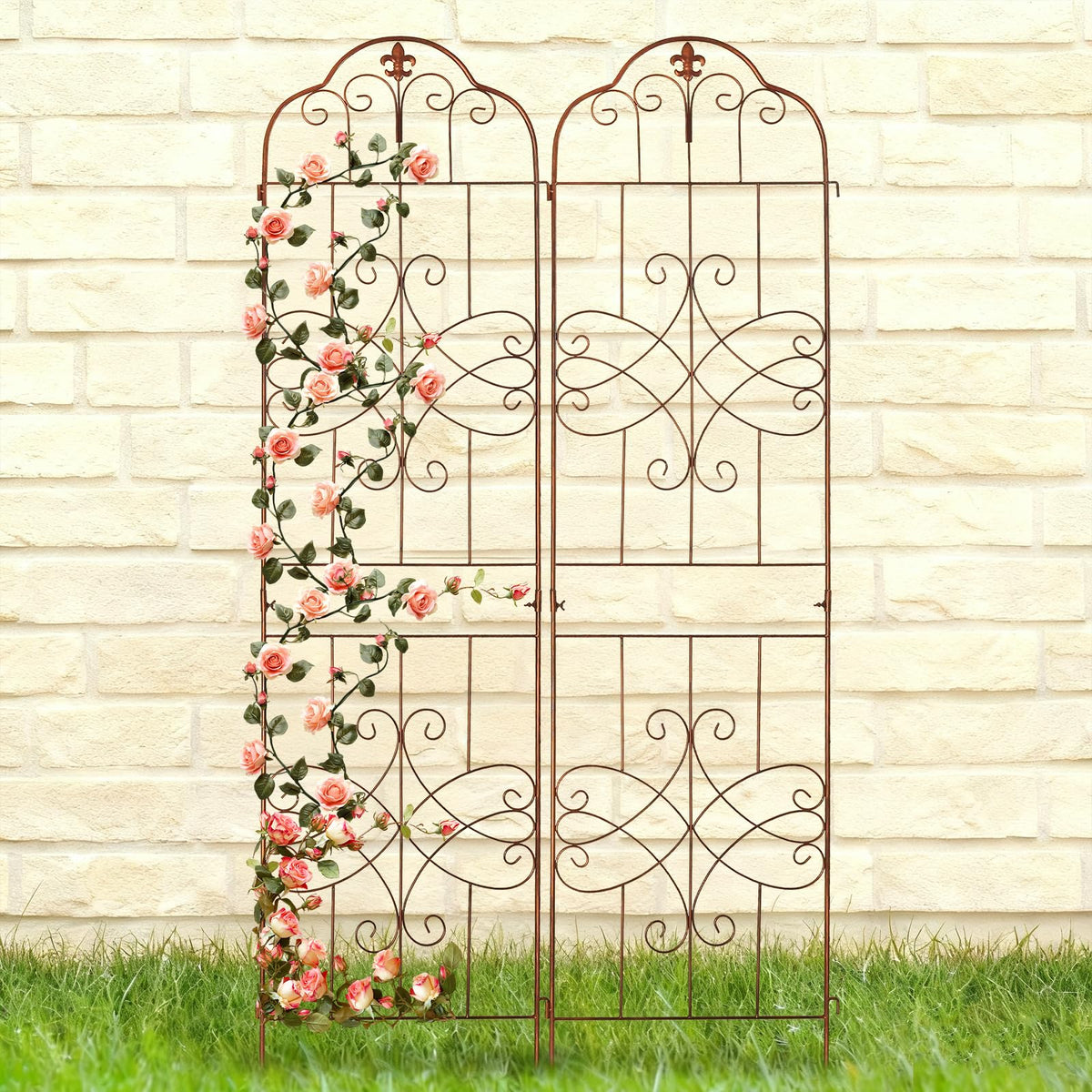 hogardeck trellis rose-training vertical setup guiding roses and vines upward