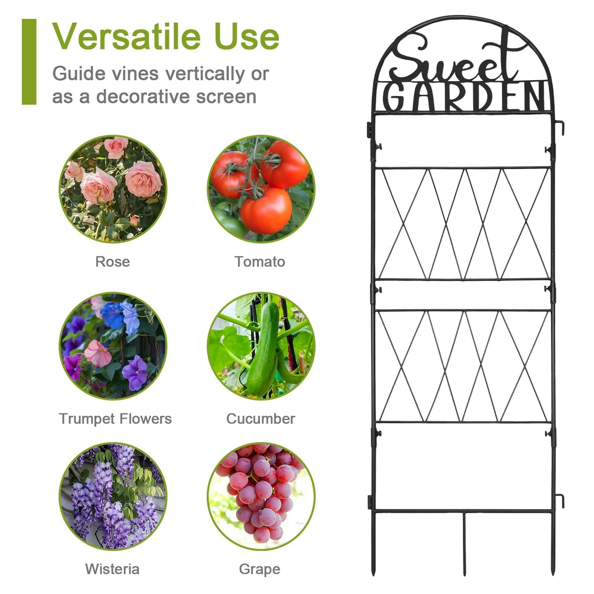 hogardeck trellis ideal for vertical growth of cucumbers and beans
