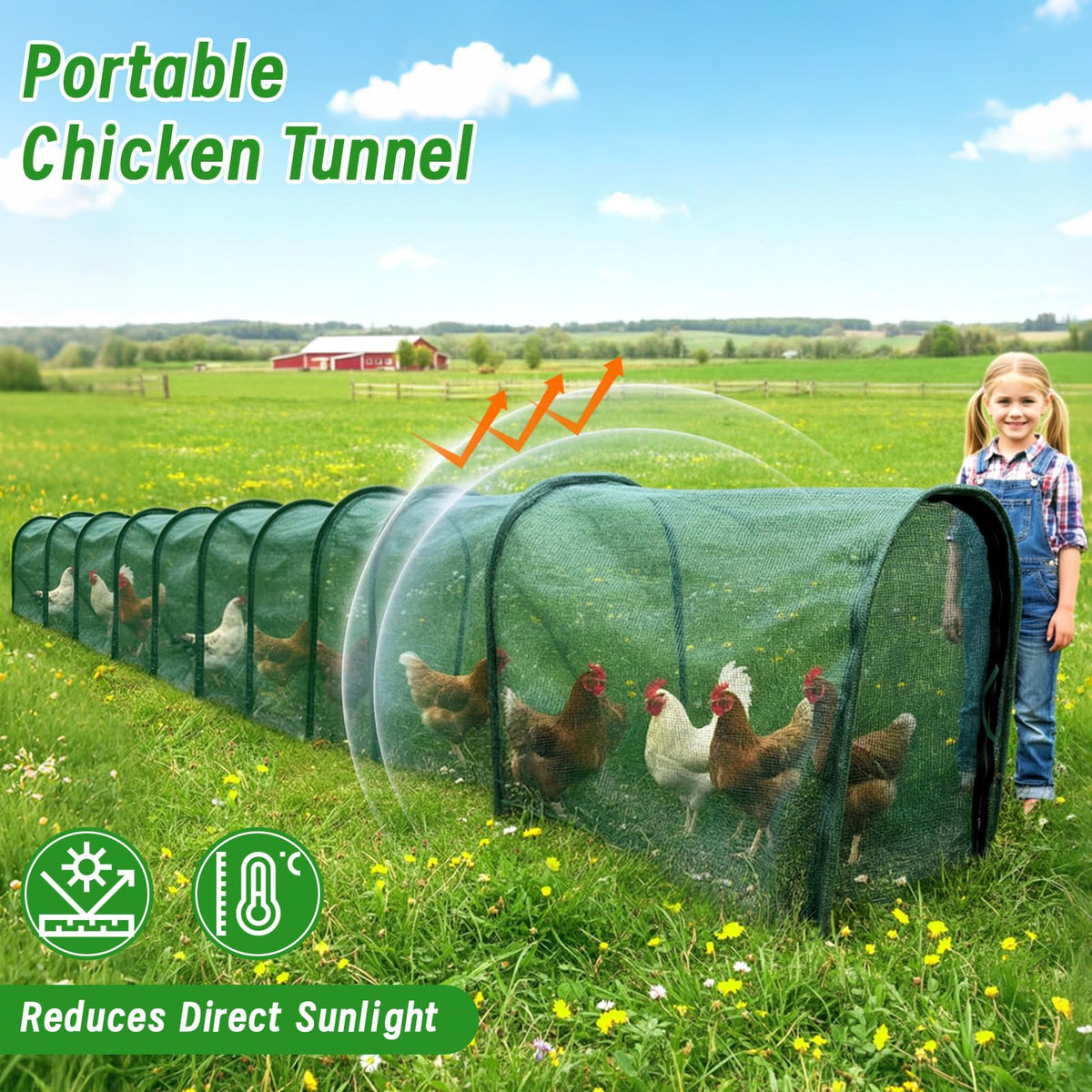 Modular and expandable sections adapt to yard size and flock needs.