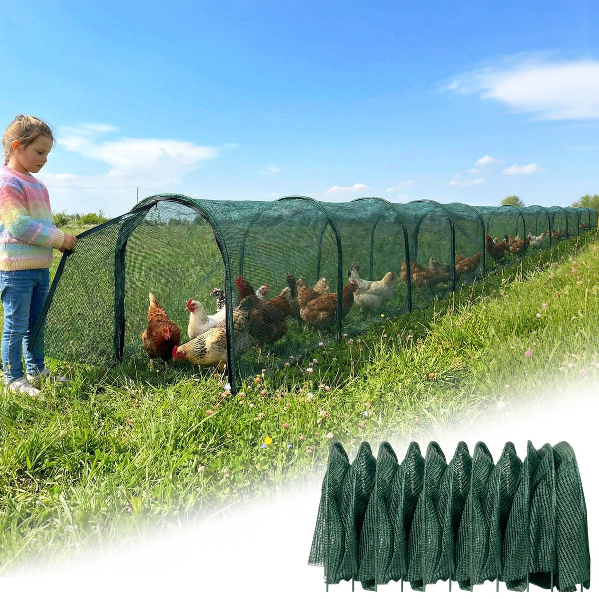 Hogarjal Chicken Runs 79-inch frame with shade net offers cool, ventilated outdoor space.