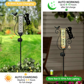 Hokfirm solar-powered garden stake lights up for nighttime ambiance