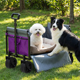 Holacamking compact-folded wagon fits in a car trunk