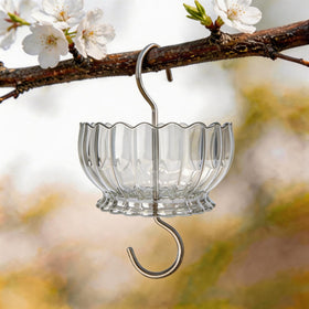 HOLAHOMA ant moat clear body allows easy water level viewing
