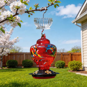HOLAHOMA ant moat daisy aesthetic attracts hummingbirds to feeder