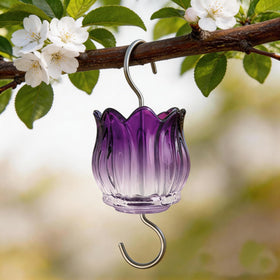 HOLAHOMA ant moat on hummingbird feeder protects nectar from ants