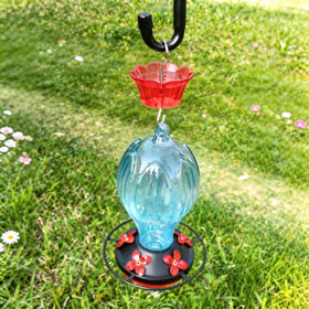 HOLAHOMA Ant Moat keeps nectar safe from pests with red insect guard