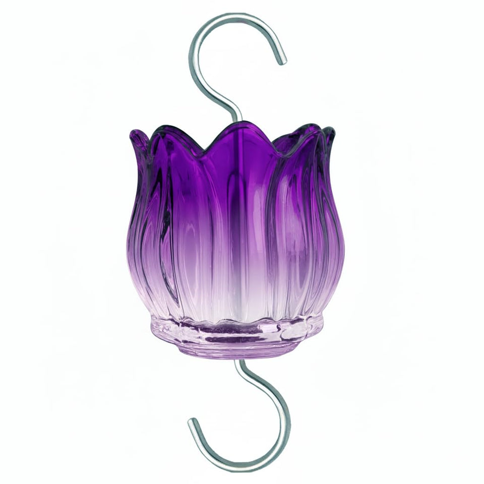 HOLAHOMA glass ant moat with gradient purple tulip, 3 oz capacity protects nectar
