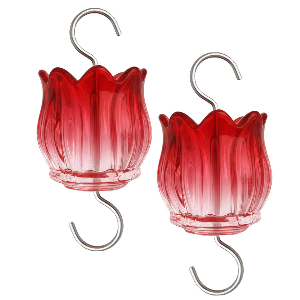 Holahoma glass ant moat tulip guard protects nectar with 3 oz capacity.