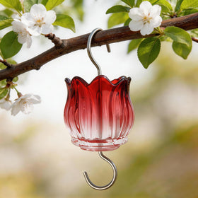 Holahoma hummingbird feeder ant moat keeps nectar accessible while hanging.
