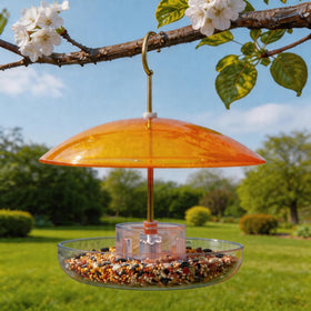 HOLAHOMA orange-yellow translucent dome adds visibility and protection