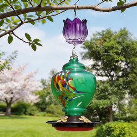 HOLAHOMA transparent glass allows easy viewing of remaining water