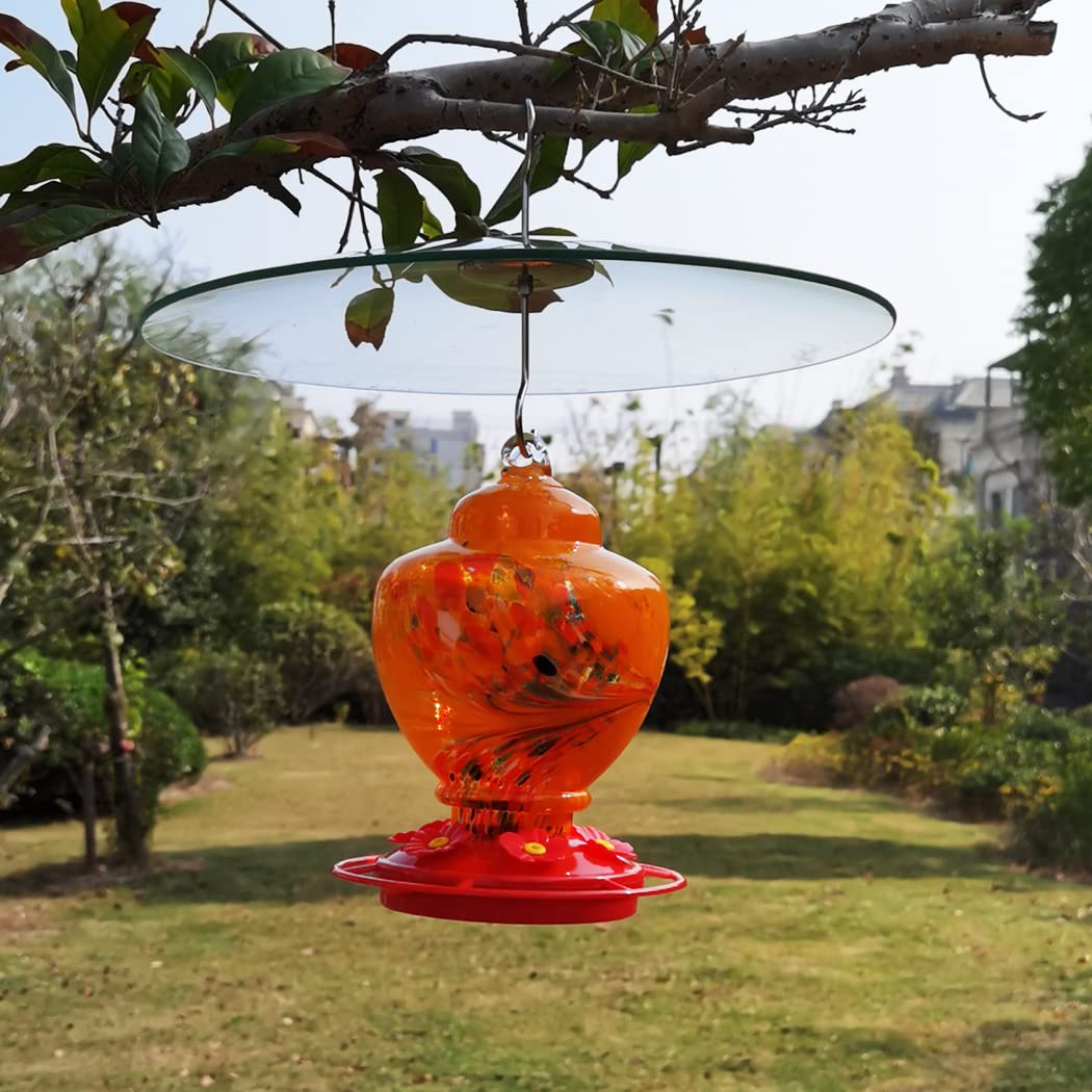 33cm HOLAHOMA dome provides wide coverage for feeders