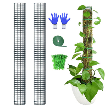 HOLANHING 40inch moss pole assembly provides sturdy support for climbing plants.