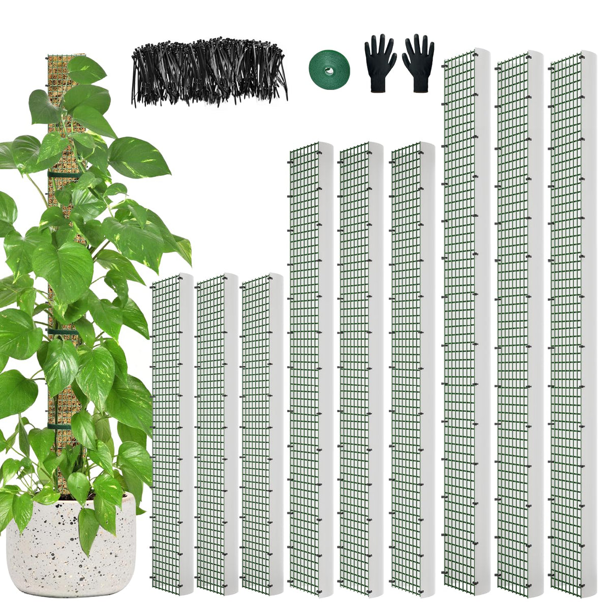 Holanhing 60-inch D-shape moss pole supports tall Monstera growth with sturdy metal mesh.