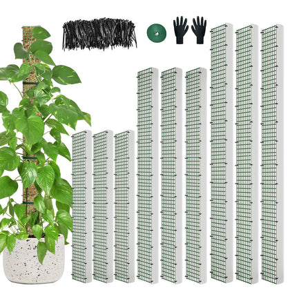 Holanhing 60-inch D-shape moss pole supports tall Monstera growth with sturdy metal mesh.