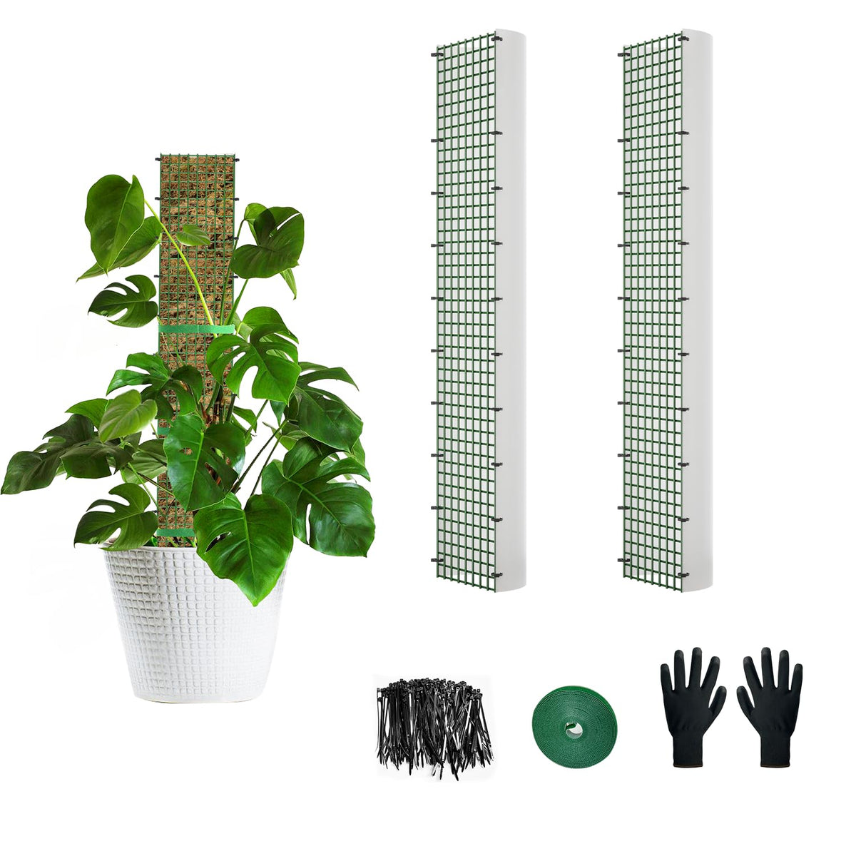 Holanhing D-shape moss pole 24-inch two-pack offers sturdy climbing support.