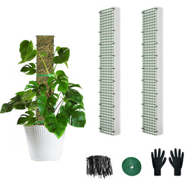 Holanhing D-shape moss pole 24-inch two-pack offers sturdy climbing support.