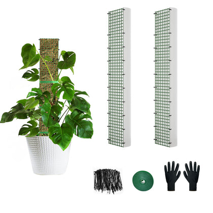 Holanhing D-shape moss pole 24-inch two-pack offers sturdy climbing support.