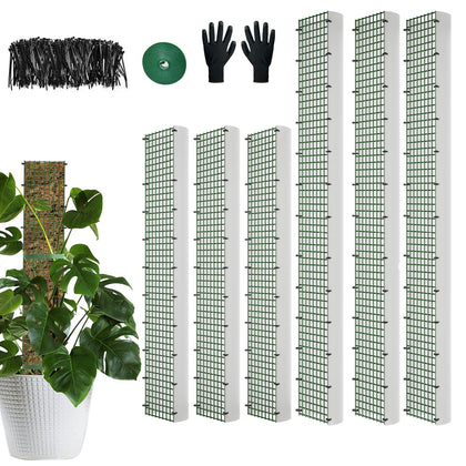 HOLANHING D Shape moss pole 40-inch for climbing plants.