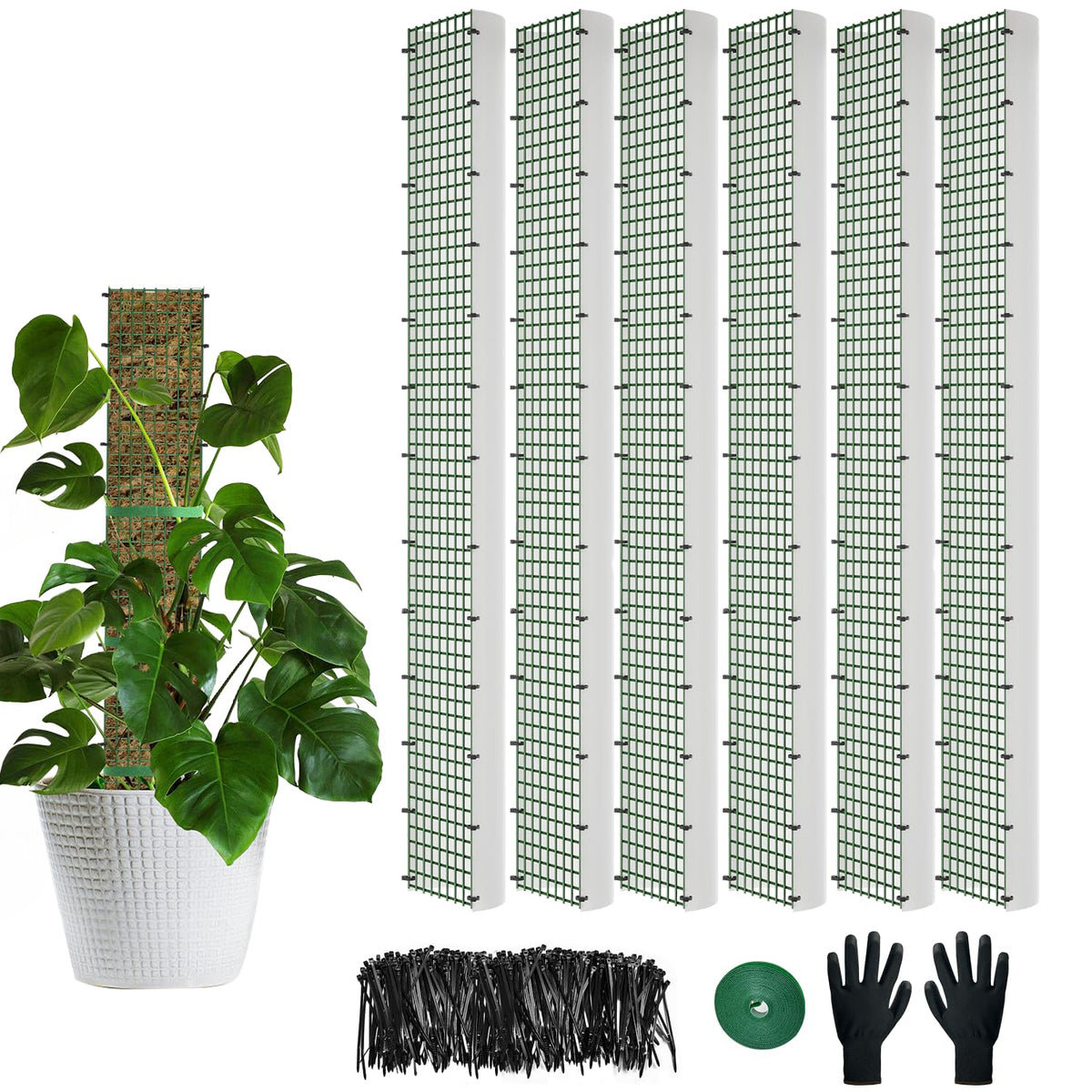 HOLANHING D-shape moss pole 40 inch supports climbing plants with strong semi-cylindrical design