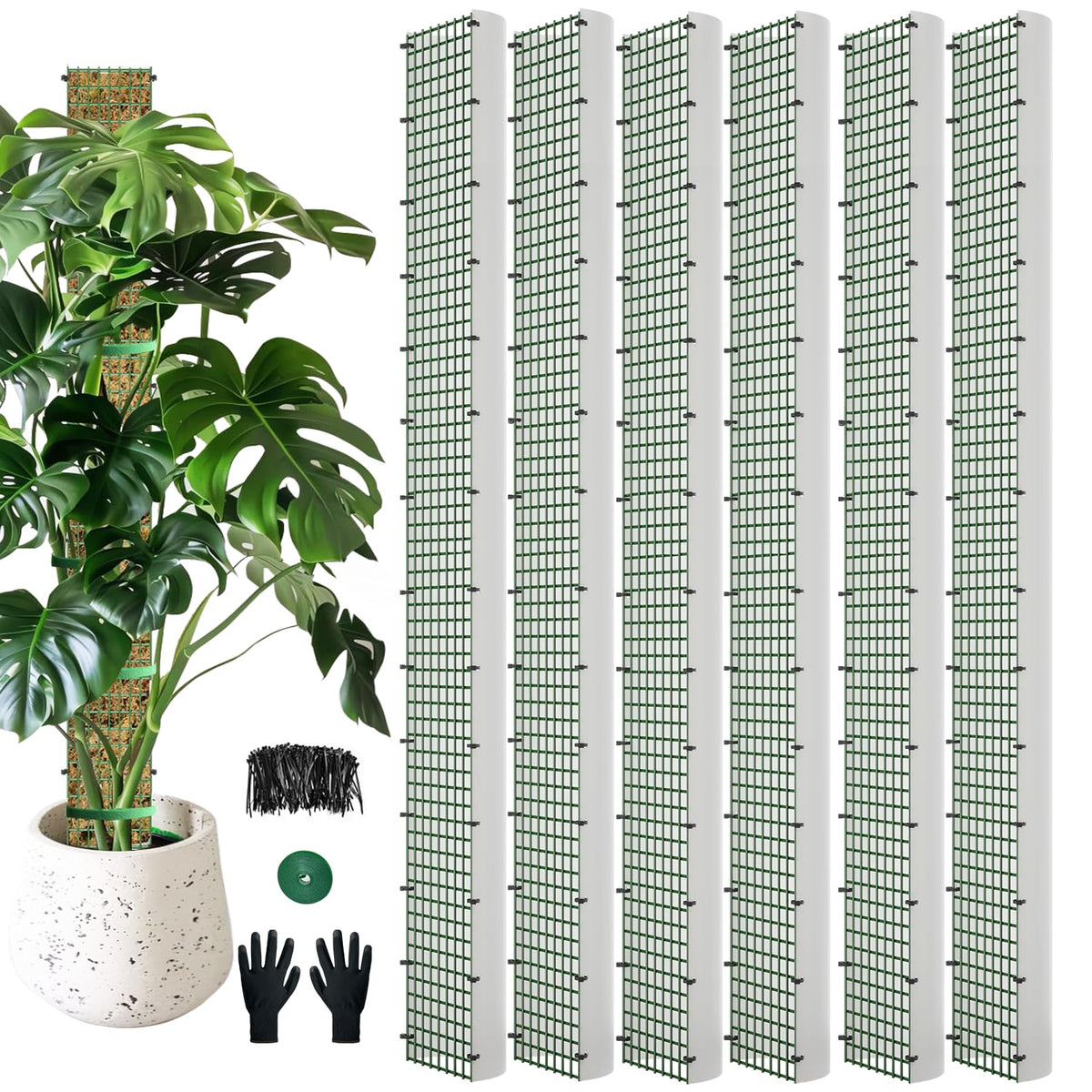 HOLANHING D-shape moss pole with 60-inch mesh provides sturdy support for climbing plants.