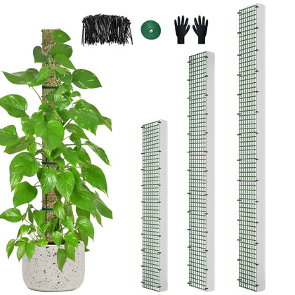 HOLANHING D-Shape moss pole 60 inch supports climbing plants