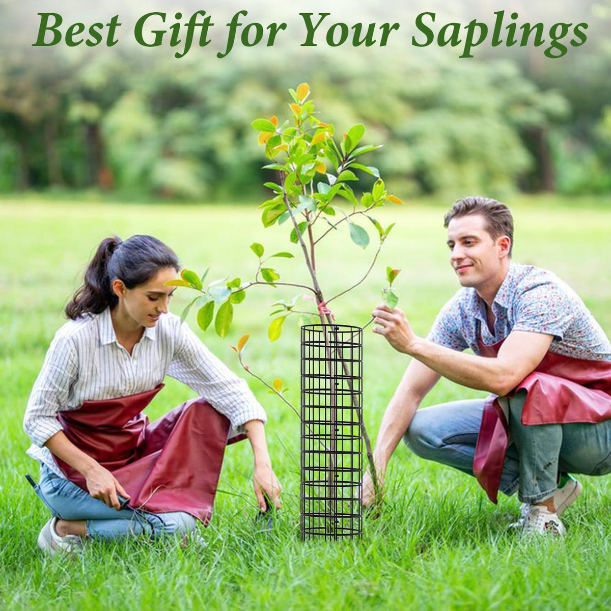 HOLANHING deer and rodent guard keeps young trees safe.