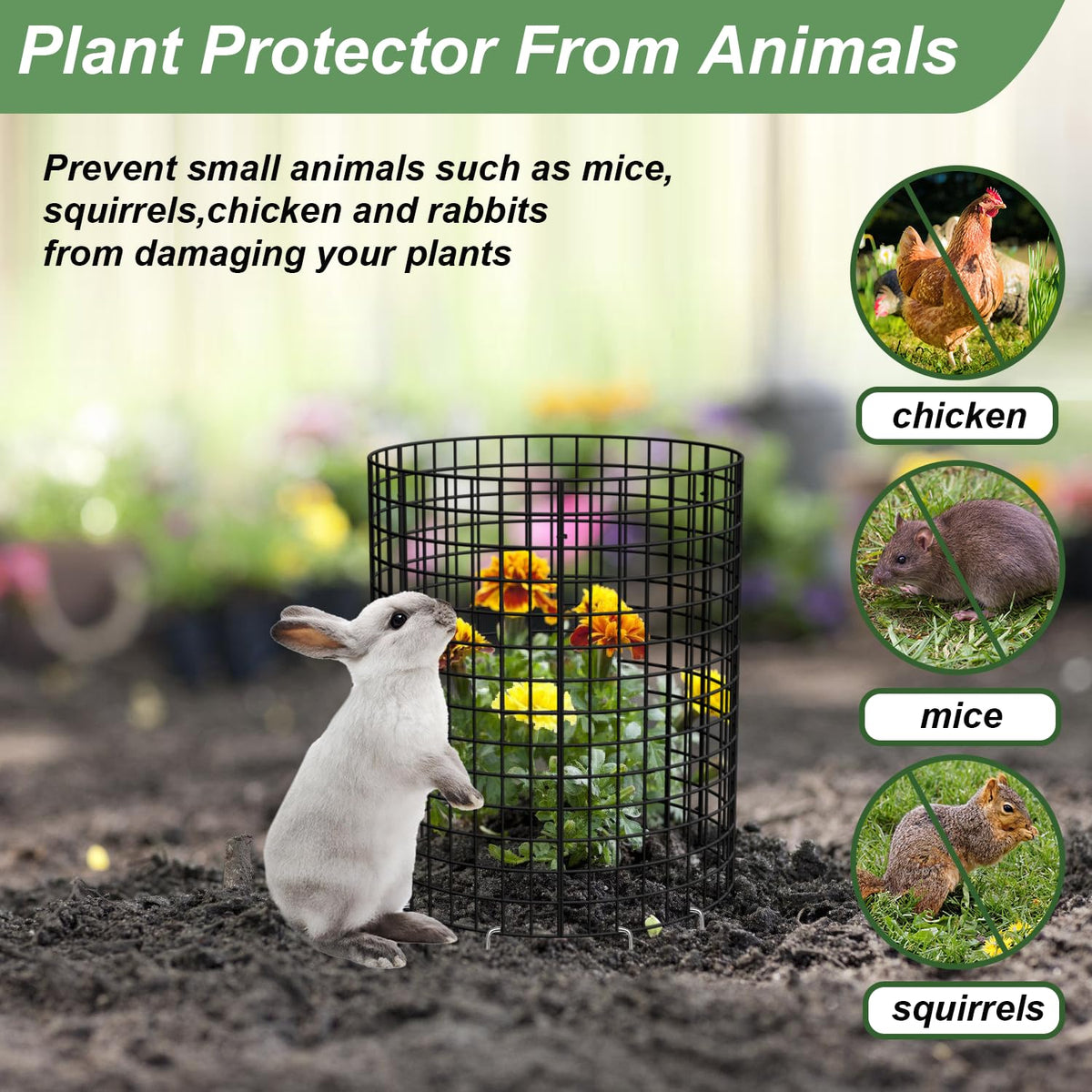 HOLANHING guards seedlings and bulbs from lawn mower and pests.