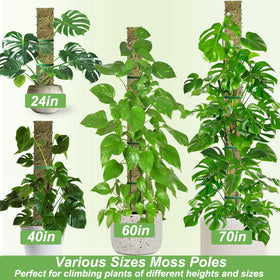 Gloves included for safe HOLANHING moss pole setup