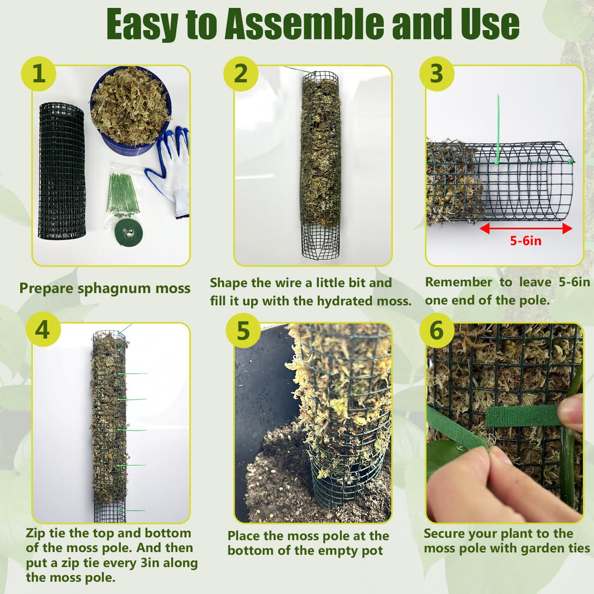HOLANHING guide to moss pole usage demonstrates easy assembly.