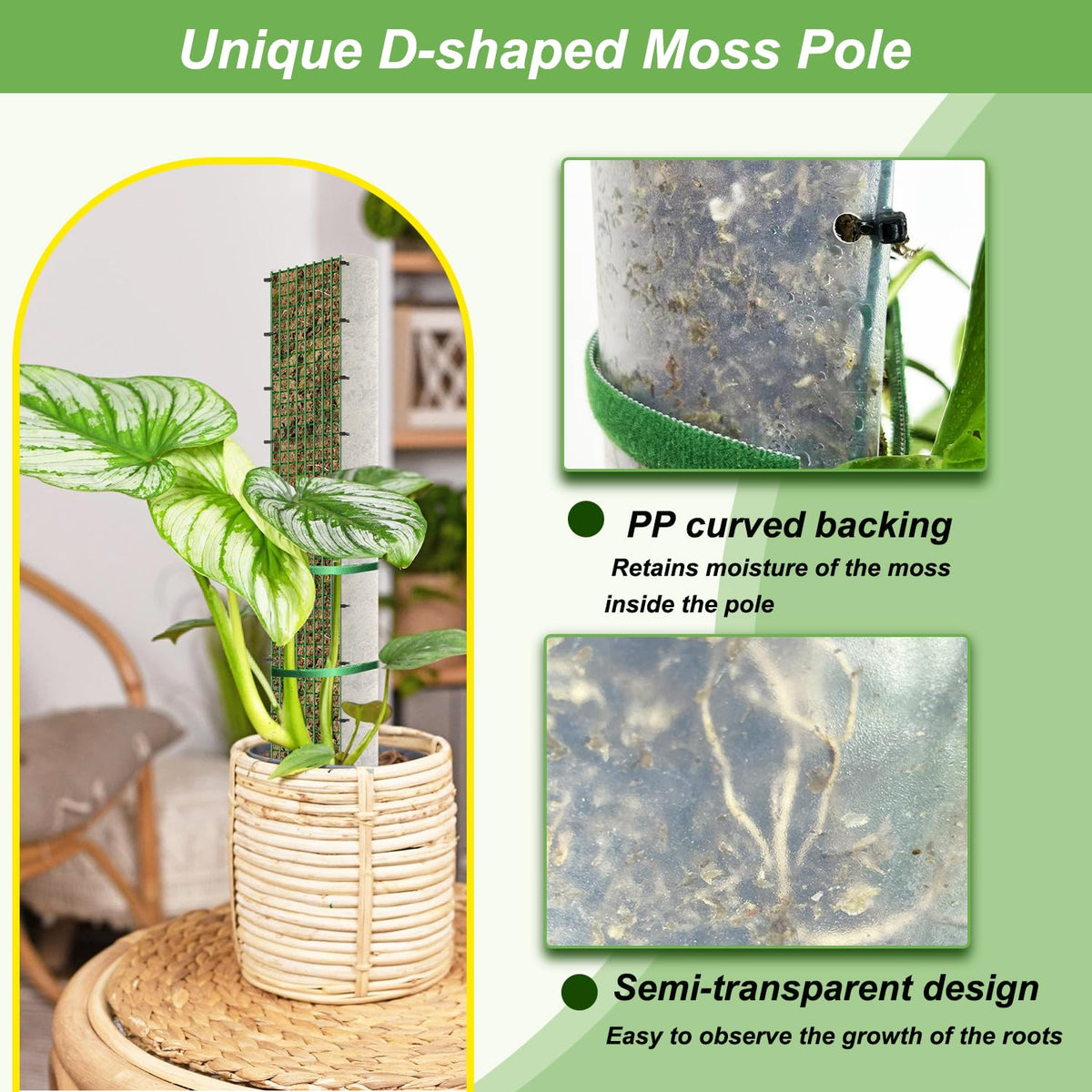 Holanhing metal mesh moss pole close-up shows robust construction.