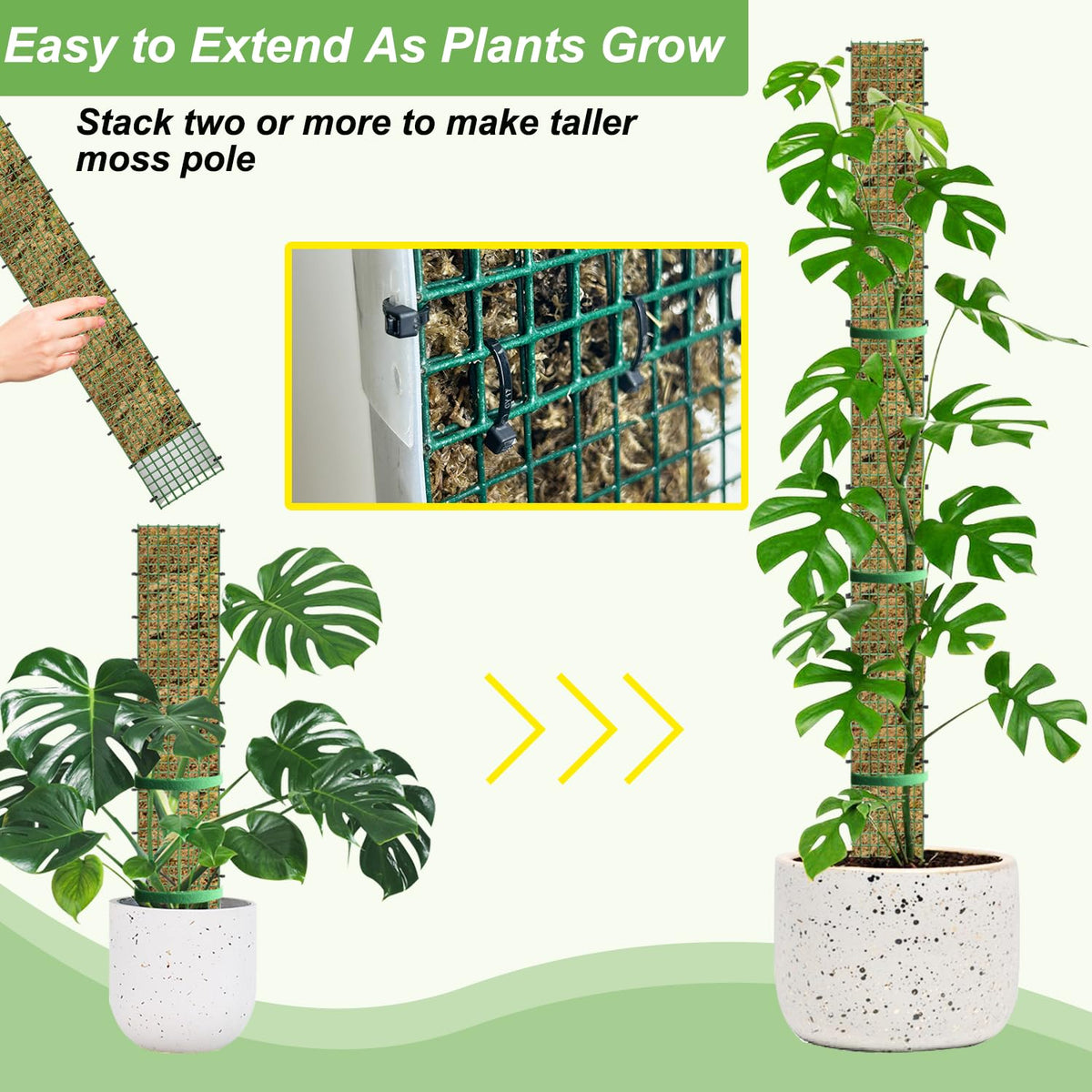 HOLANHING moss pole assembly kit with ties and gloves for setup.