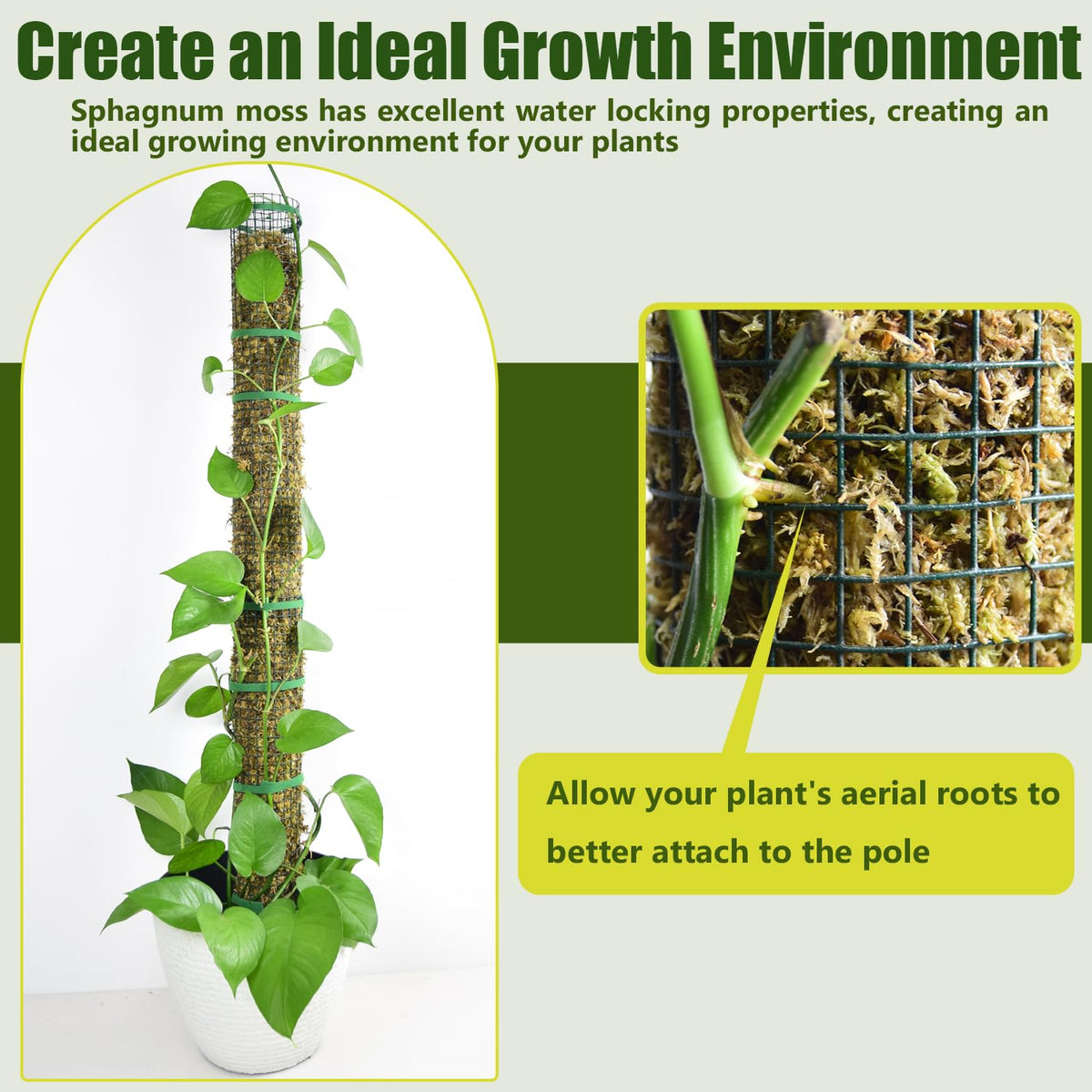 HOLANHING moss pole full coverage enables 360° attachment for aerial roots.