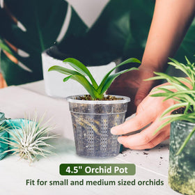HOLANHING 6-pack with clips for secure repotting and display.