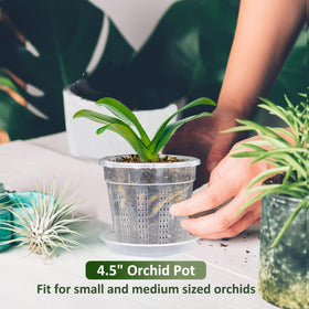 HOLANHING orchid pot side ventilation improves air circulation for healthier roots