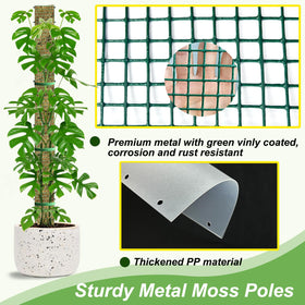 HOLANHING PP curved backing retains moisture for root attachment