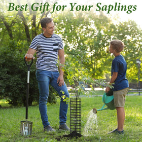 HOLANHING sapling protection in use supports upright growth while shielding trunks.