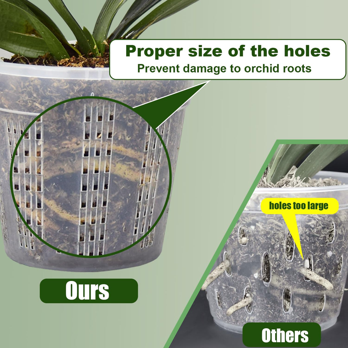 HOLANHING upgraded holes prevent root escape and media loss.