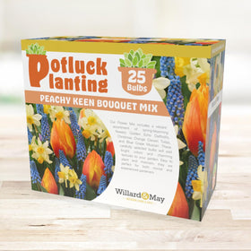 Holland Bulb Farms fall planting guidance for spring color display.